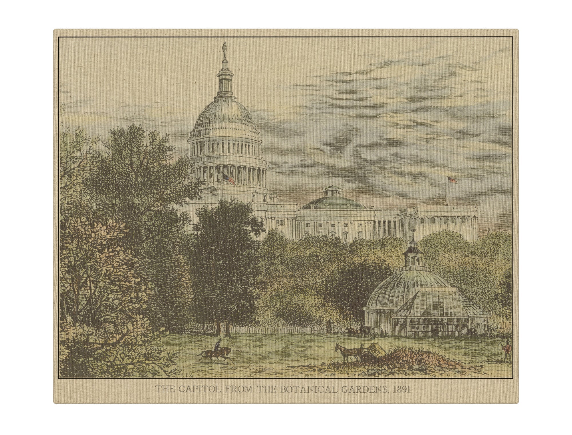 Capitol from the botanical gardens