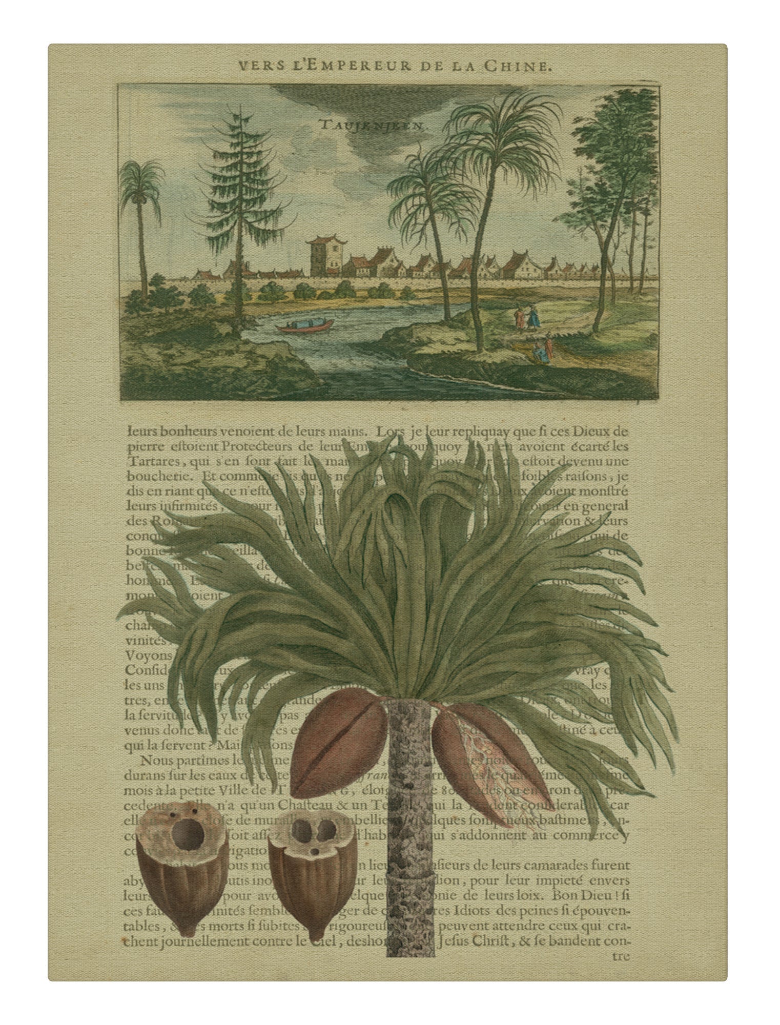 Journal of the Tropics IV
