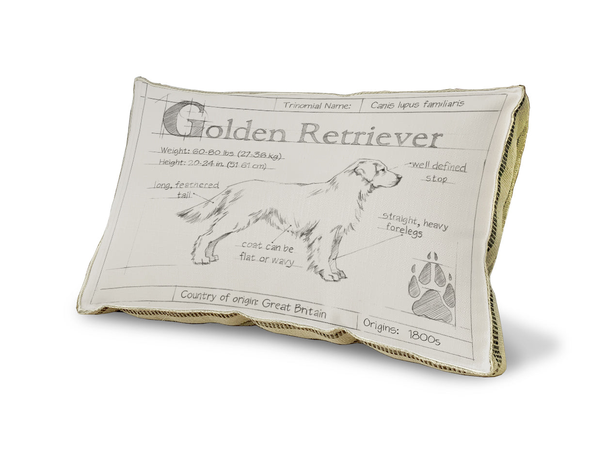 Blueprint Golden Retriever pillow