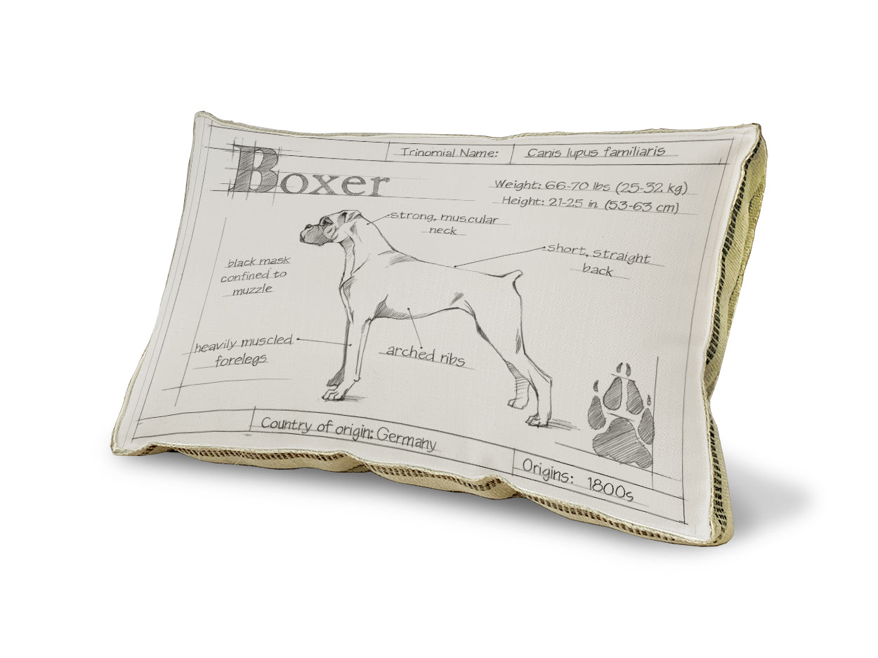 Blueprint Boxer pillow
