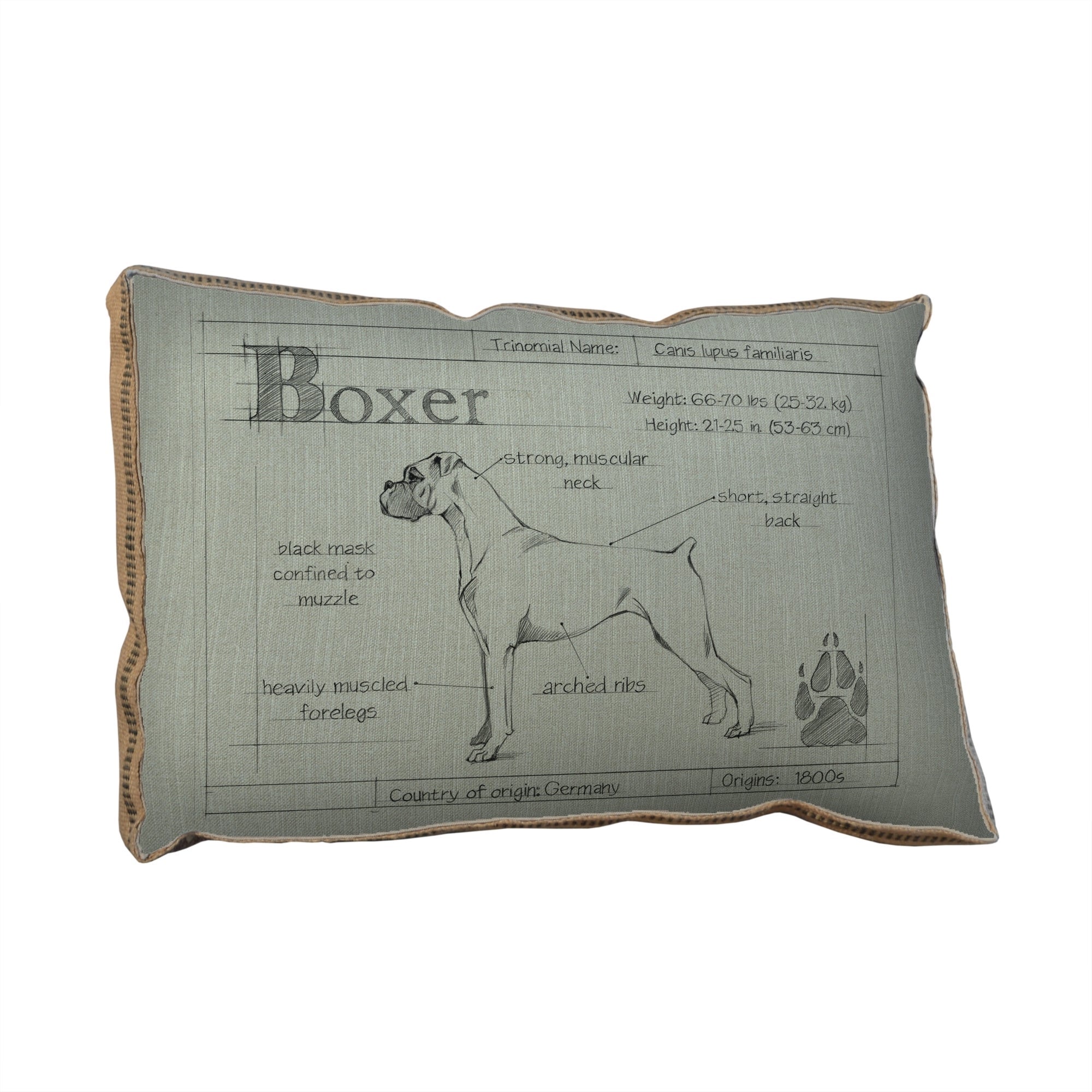 Blueprint Boxer white pillow