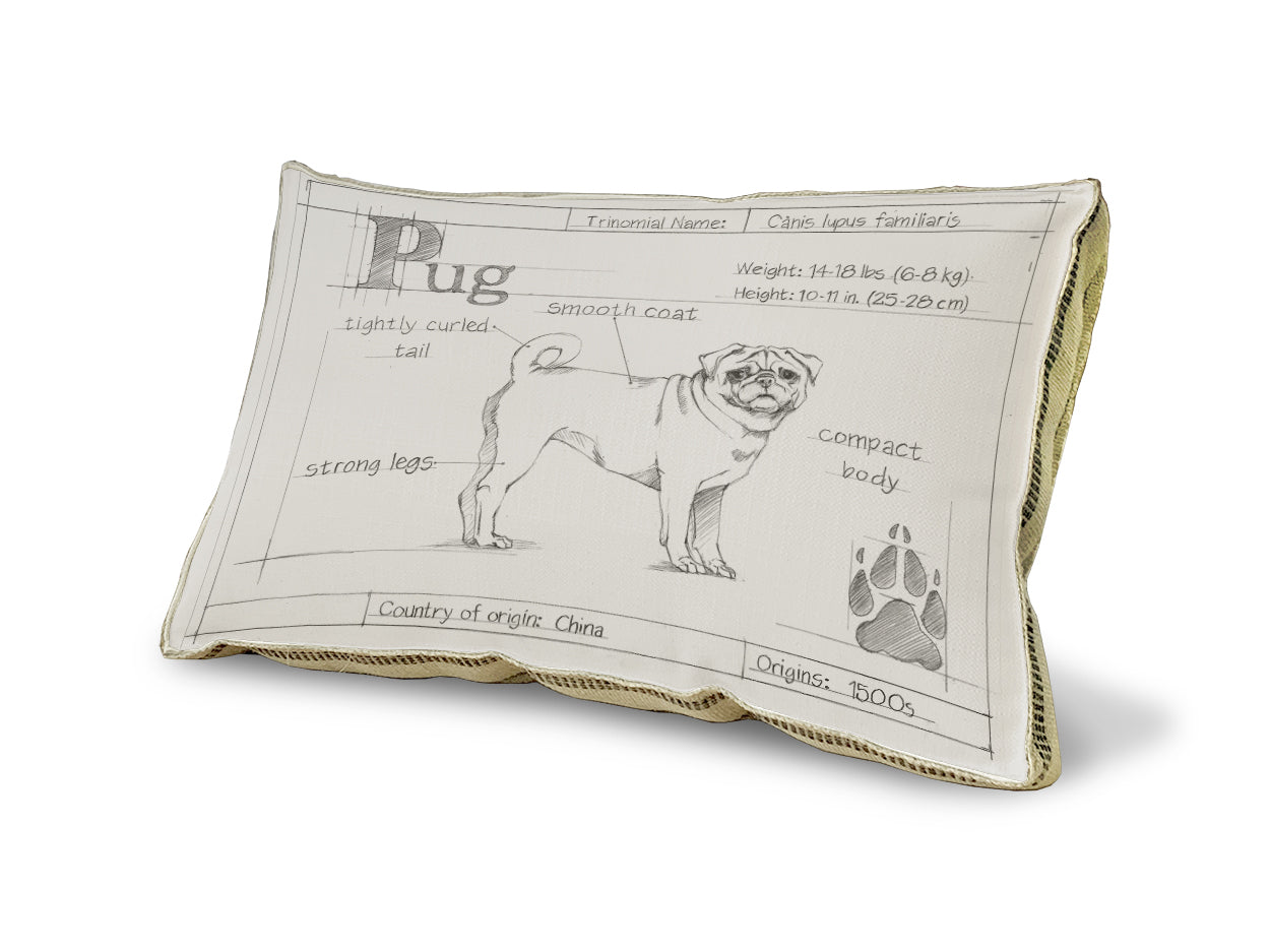 Blueprint Pug pillow
