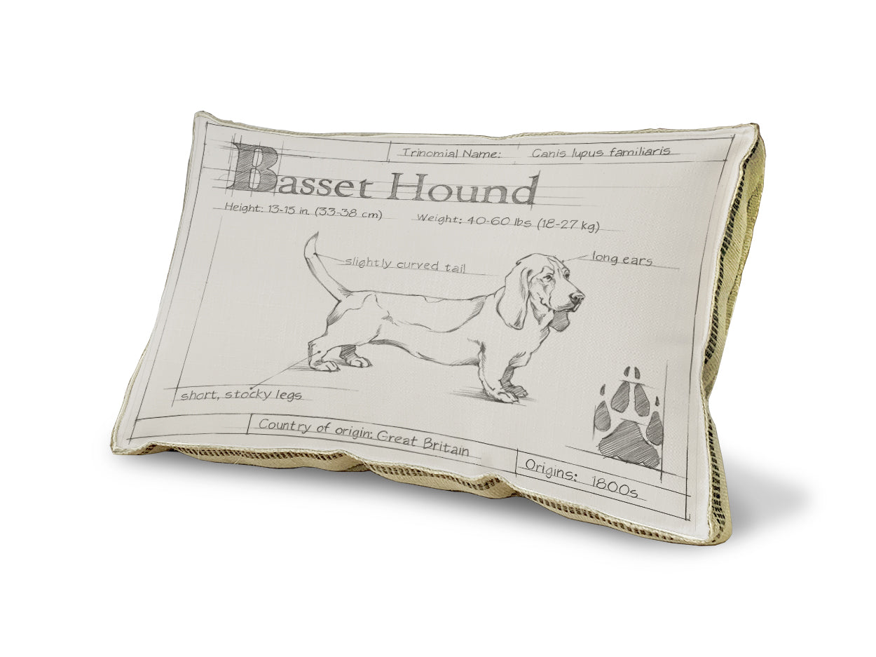 Blueprint Bassett Hound white pillow