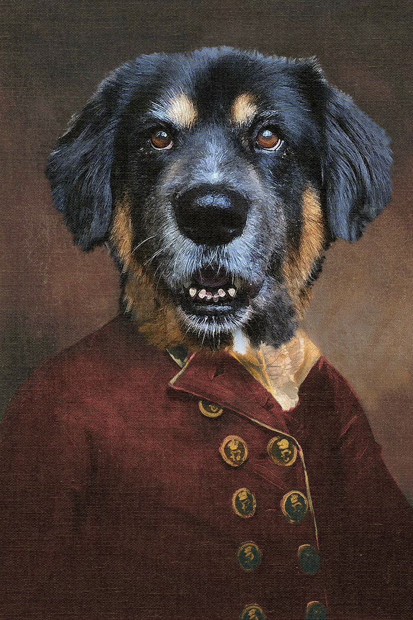 Ozzie in Red Coat
