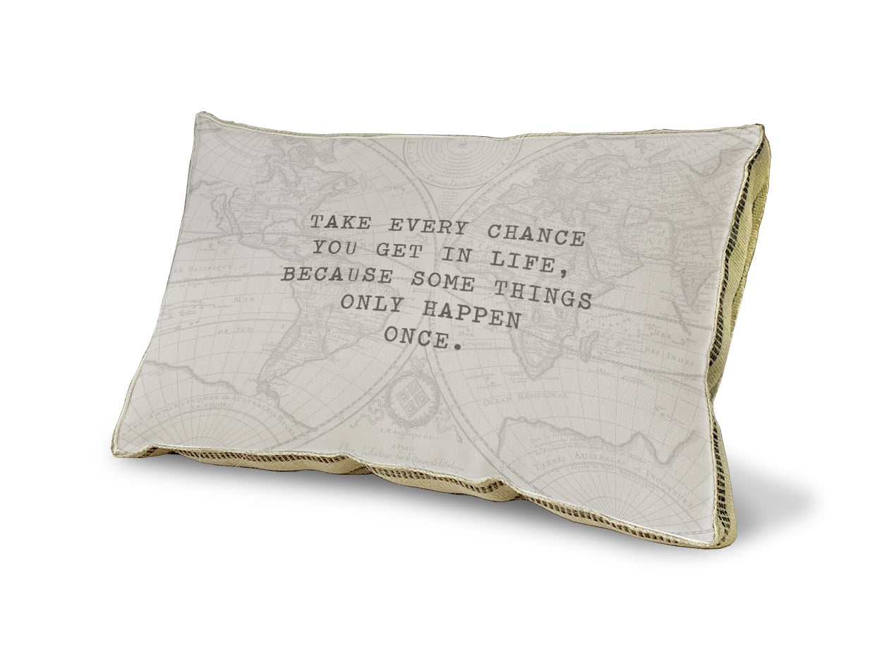 Take every chance pillow