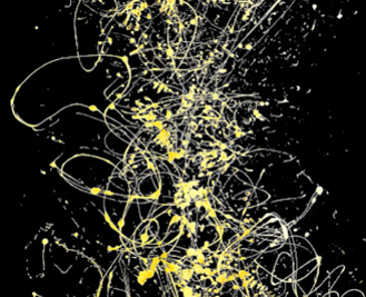 Manifestation