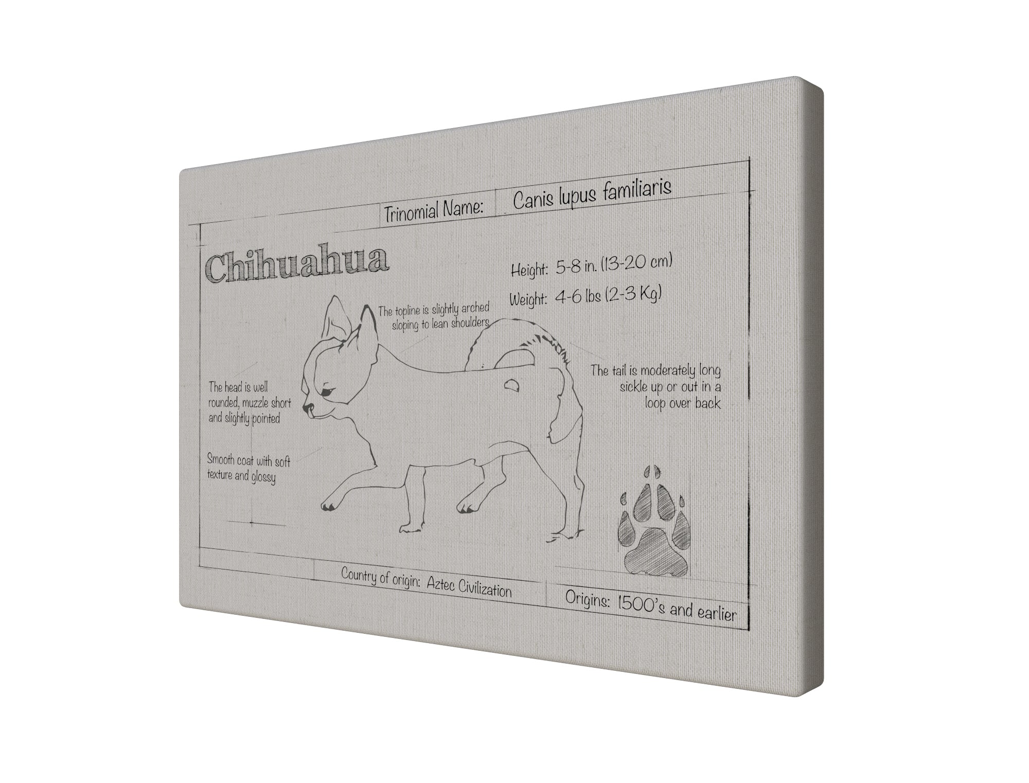 Chihuahua Natural Blueprint