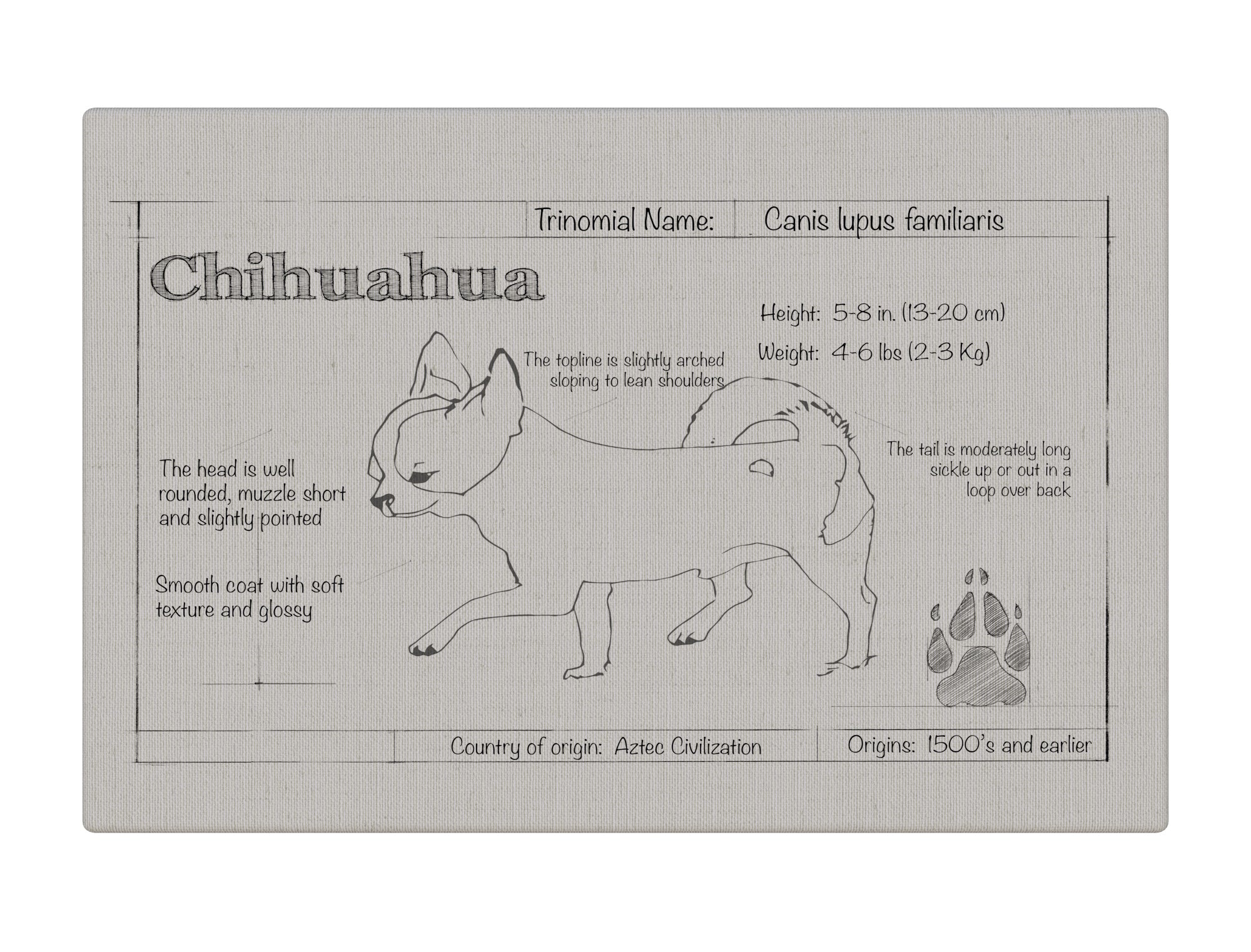 Chihuahua Natural Blueprint