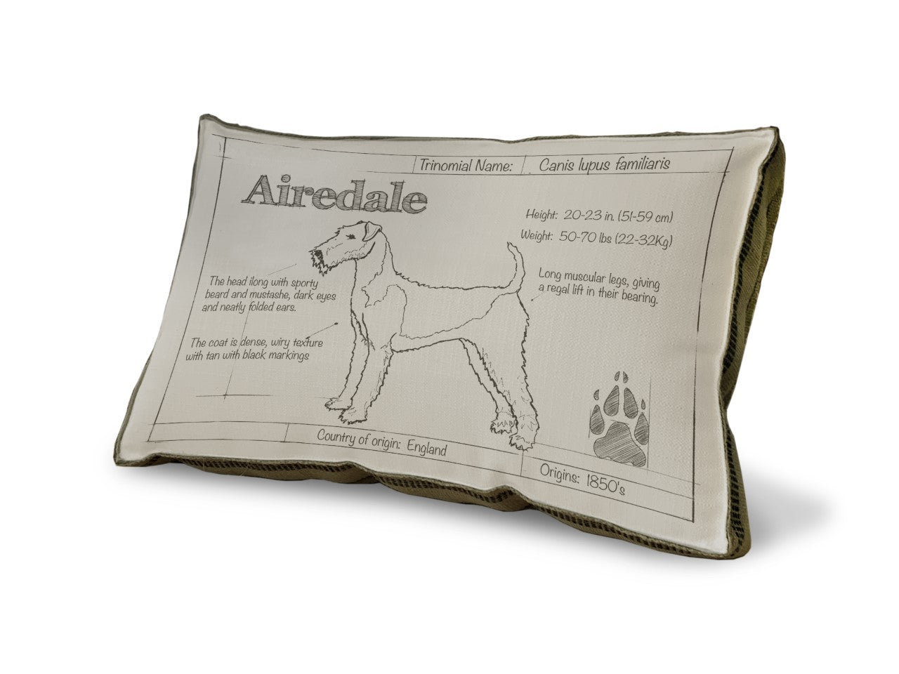 Airedale Blueprint Pillow